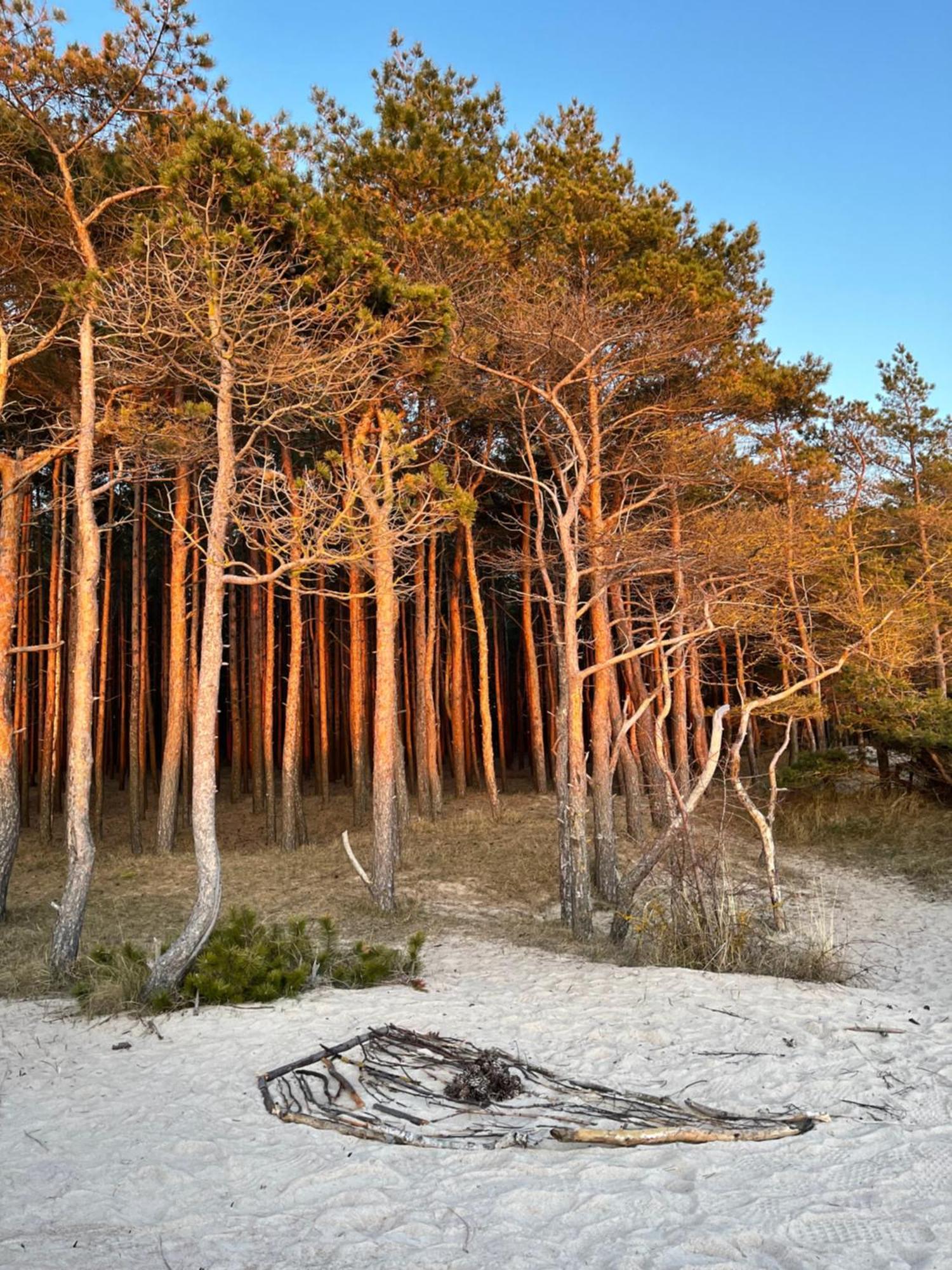 Holiday home Butterfly Palanga